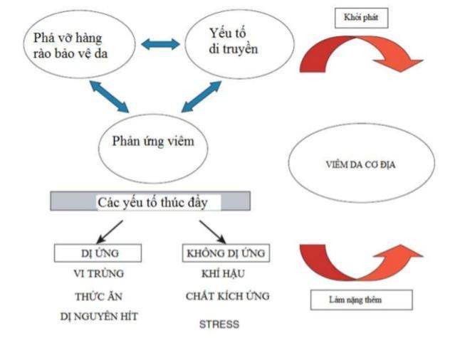 Quá trình hình thành của viêm da cơ địa