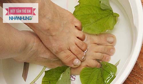 Ngâm chân với lá lốt cũng là một cách chữa nước ăn chân