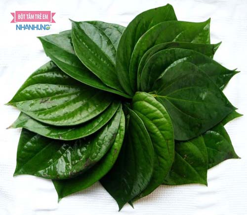 Chữa nước ăn tay bằng lá trầu không